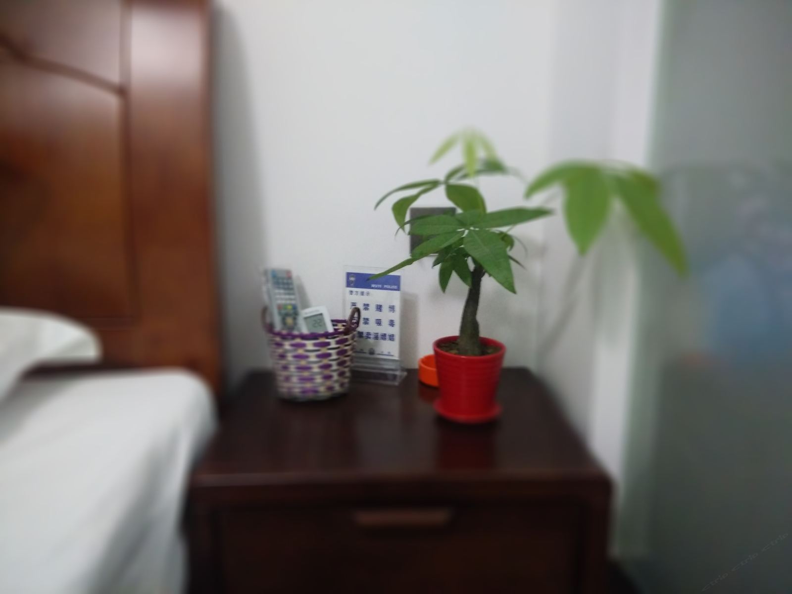 特价大床房
