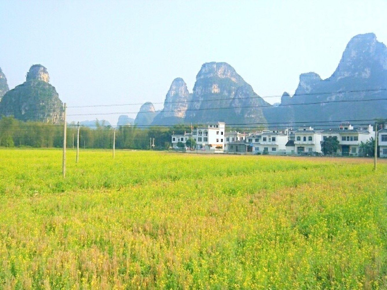 其他
