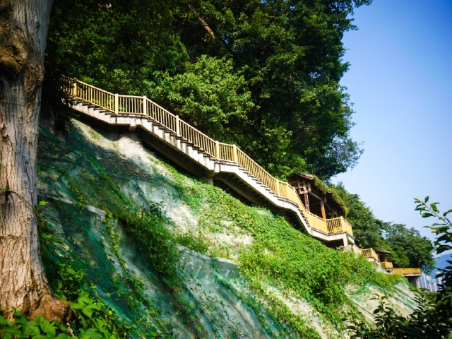 http:\/\/www.tuniu.com\/tours\/210639099