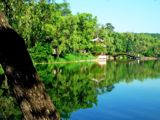 壩上草原旅游最佳路線_壩上草原旅游一次多少錢_壩上草原跟團(tuán)還是自由行