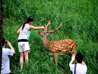 壩上草原旅游最佳路線_壩上草原旅游一次多少錢_壩上草原跟團(tuán)還是自由行