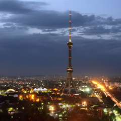 塔什干电视塔 景点模块