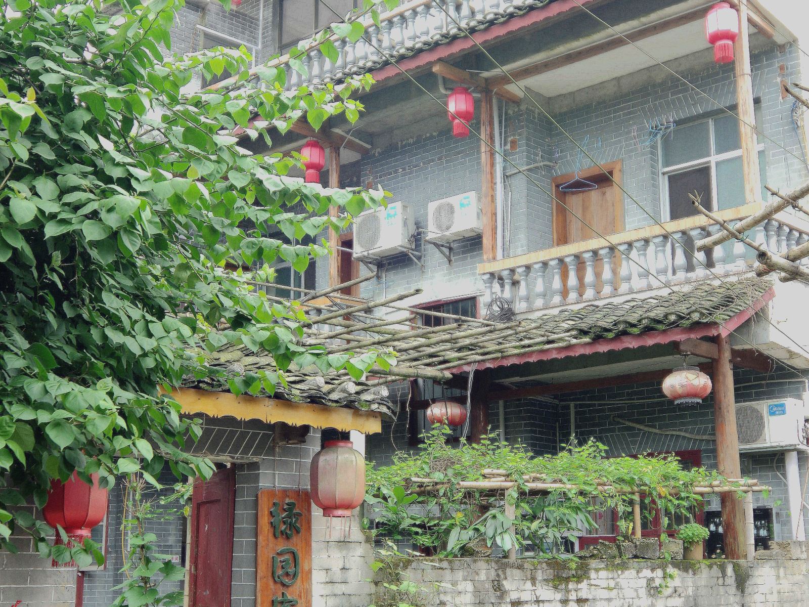 外观