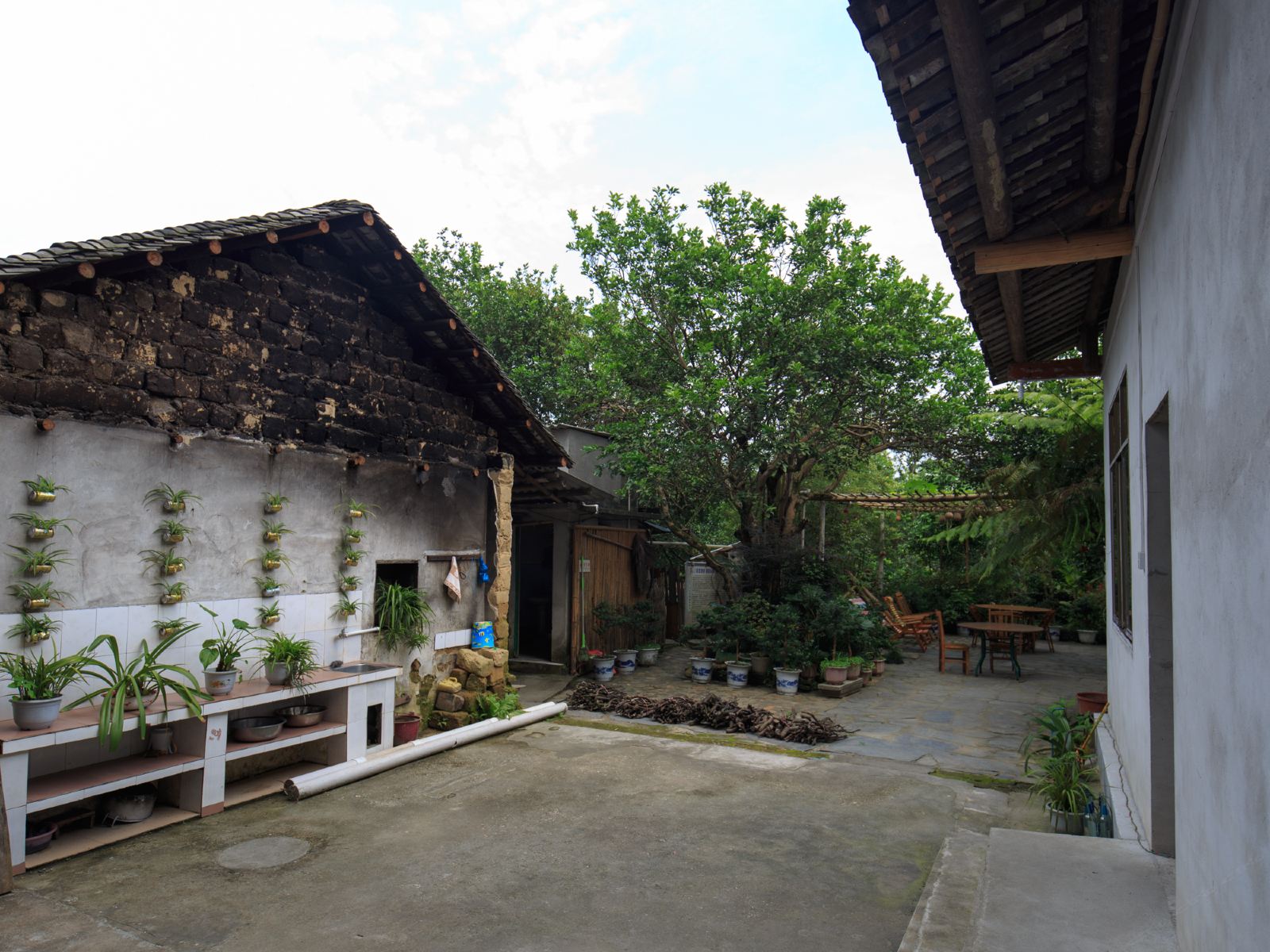 公共区域