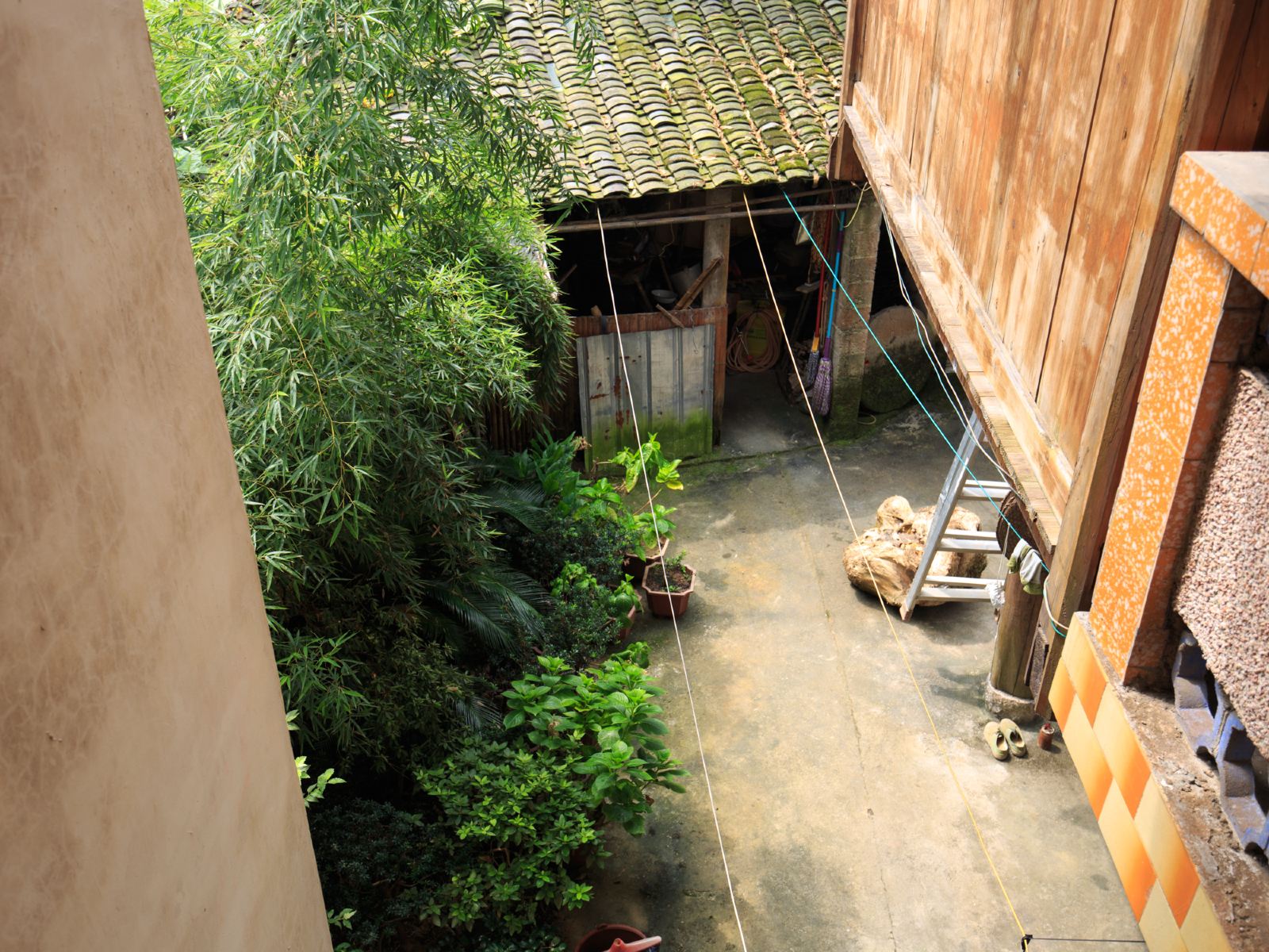公共区域