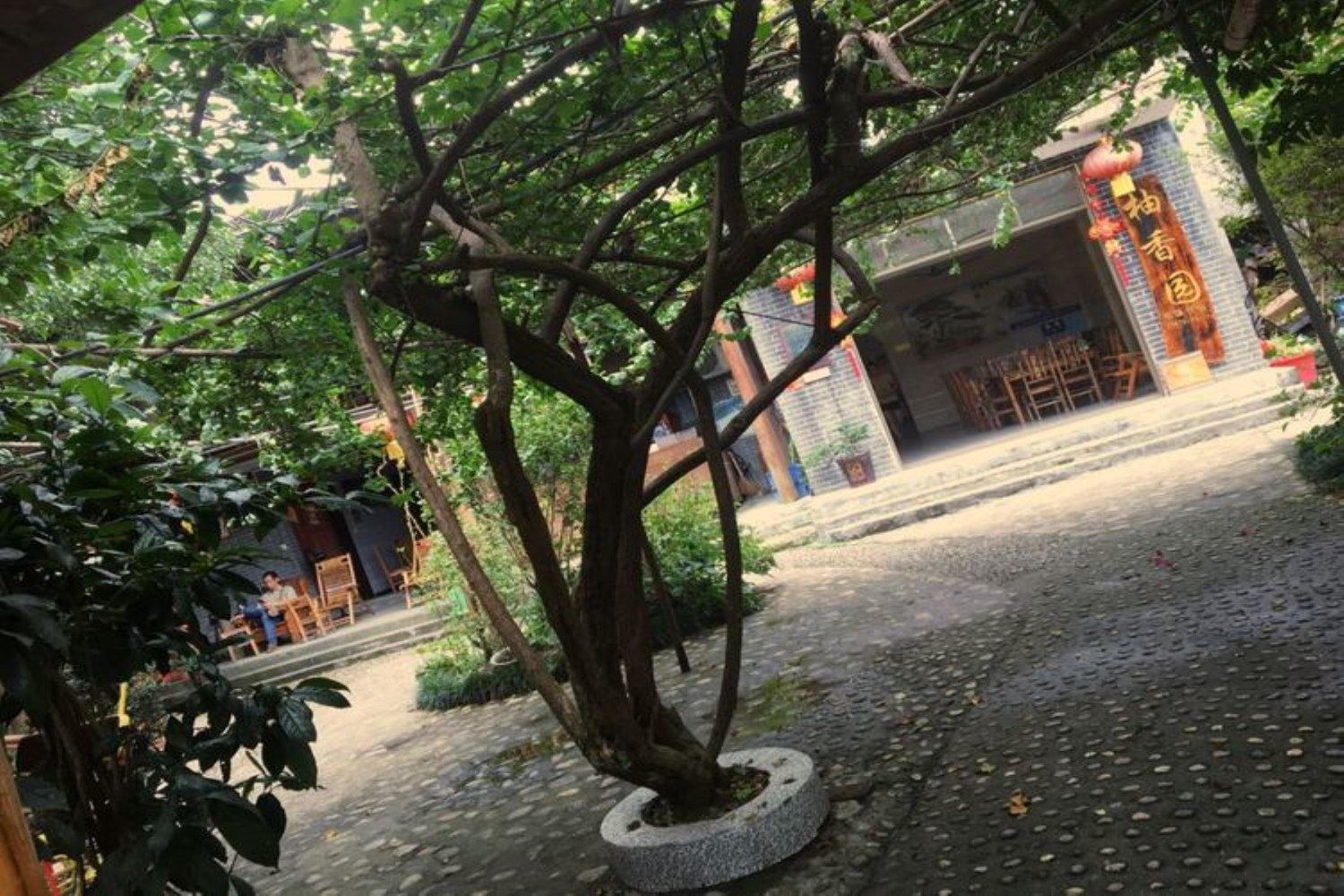 其他