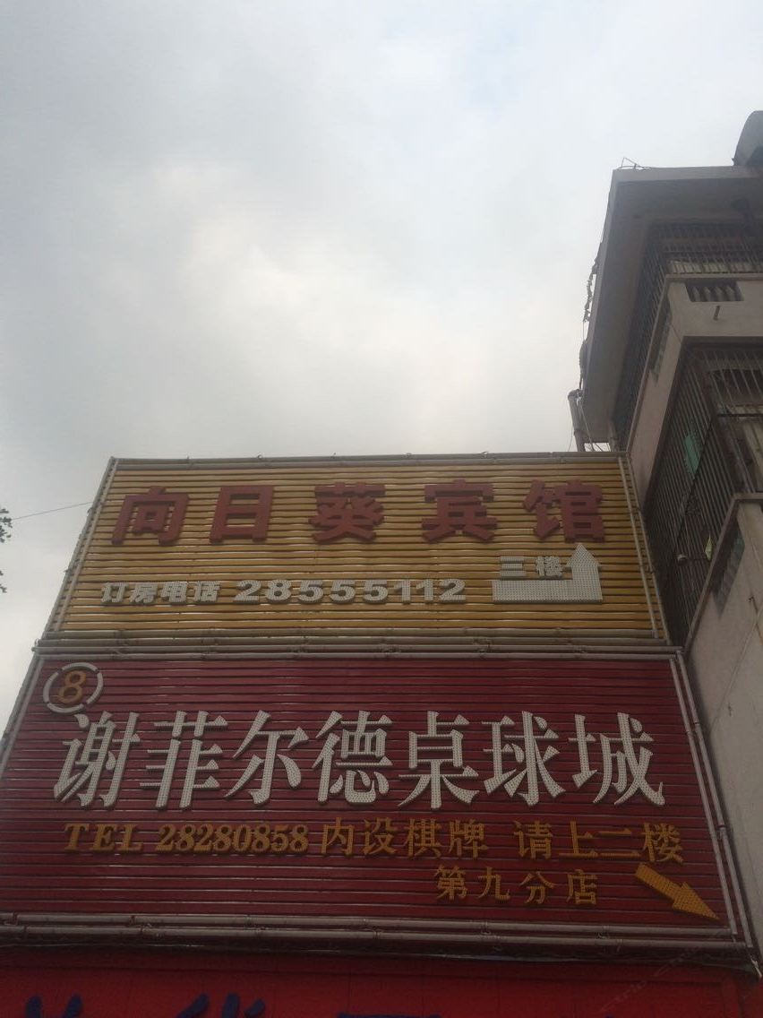 豪华单人房