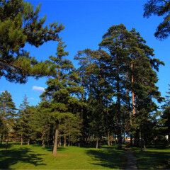 小交通模块 