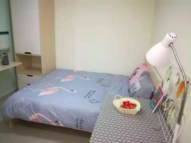 三号大床