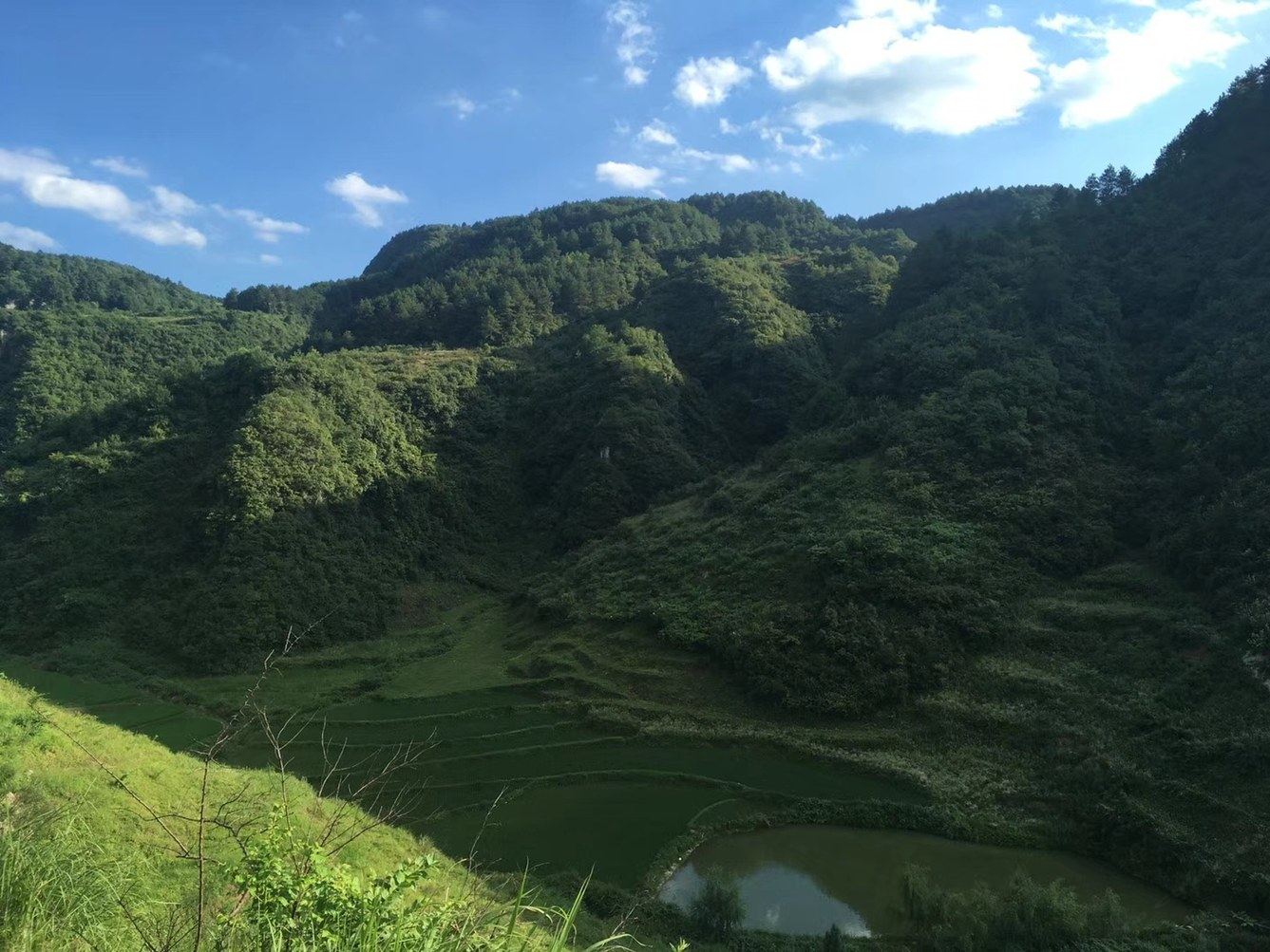 其他