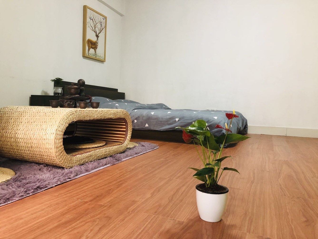 榻榻米一室一厅套房