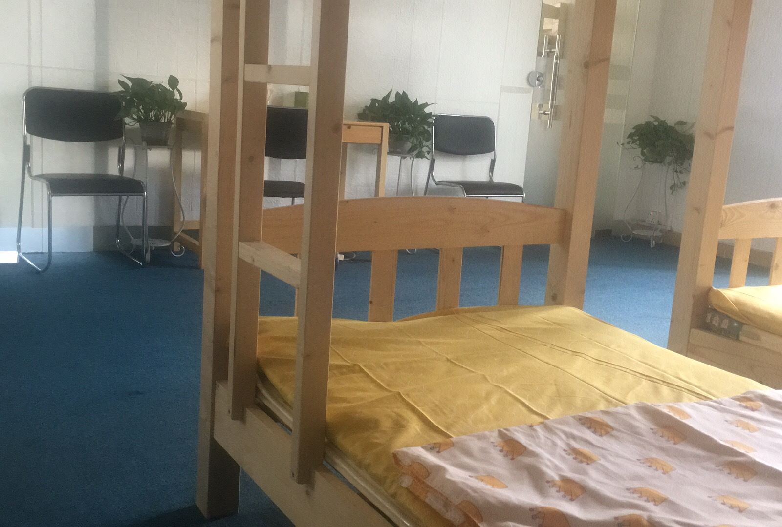 巨敞亮多人间(床位房)