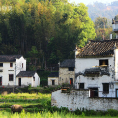 景点模块 