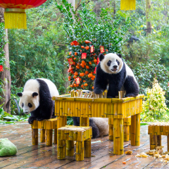景点模块 