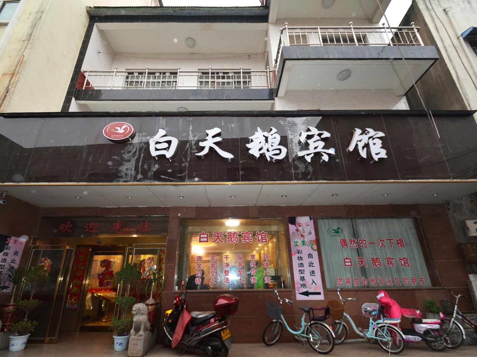 外观