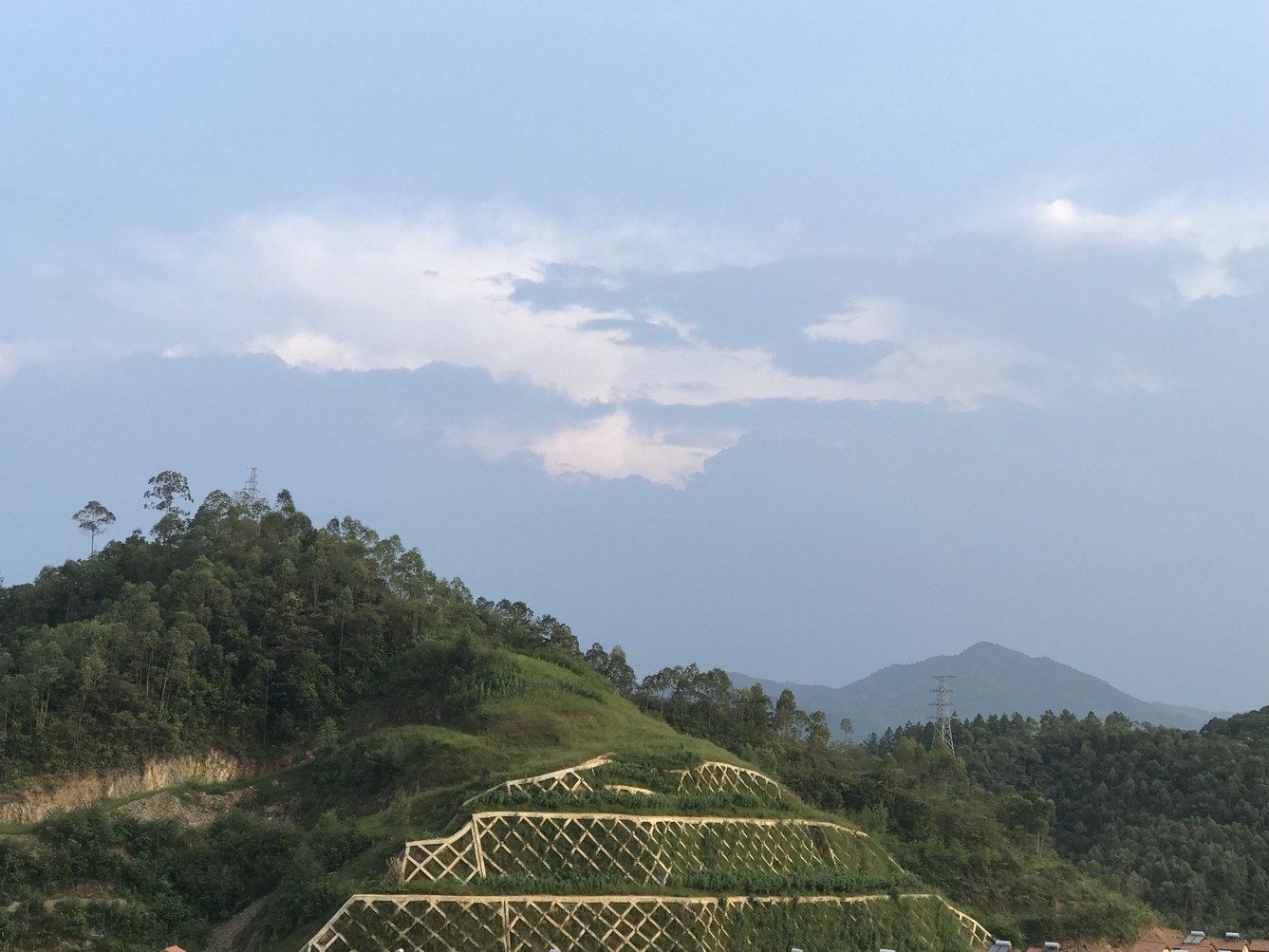 缘木求鱼公寓NO.2