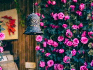 到廈門(mén)鼓浪嶼旅游報(bào)團(tuán)價(jià)格_怎么去廈門(mén)鼓浪嶼旅游_廈門(mén)鼓浪嶼報(bào)團(tuán)旅游多少錢(qián)