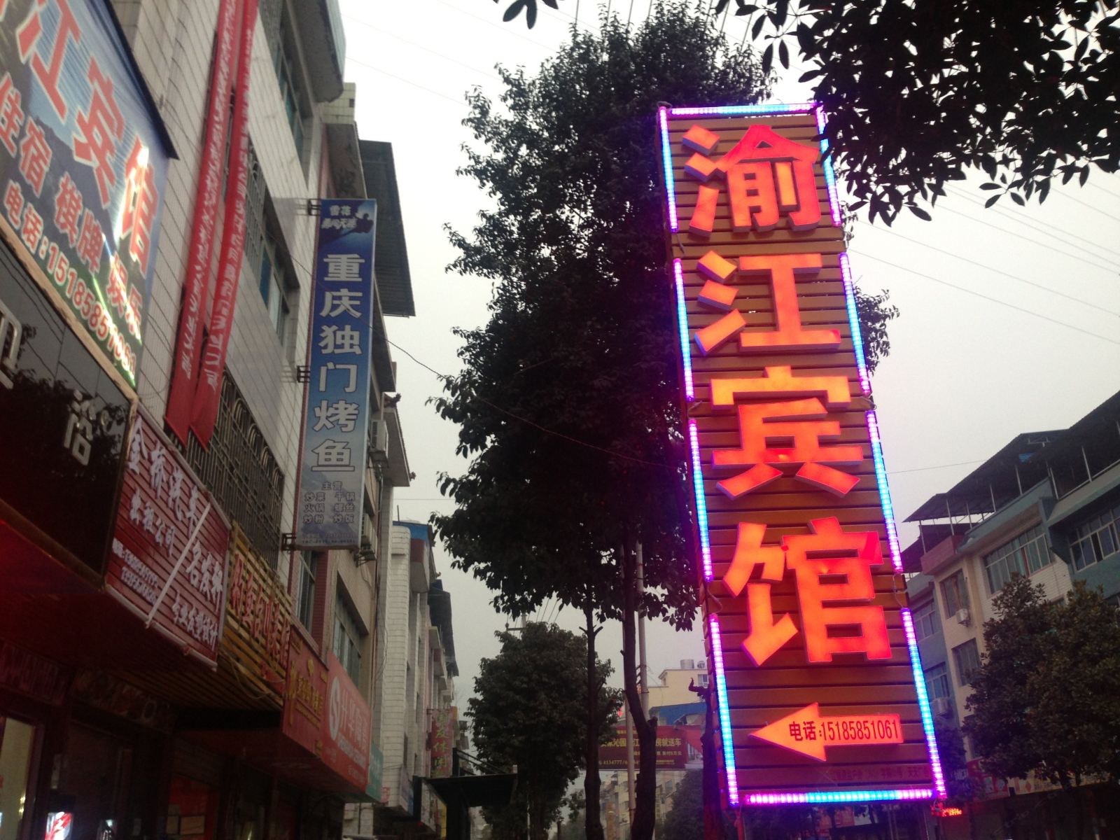 外观