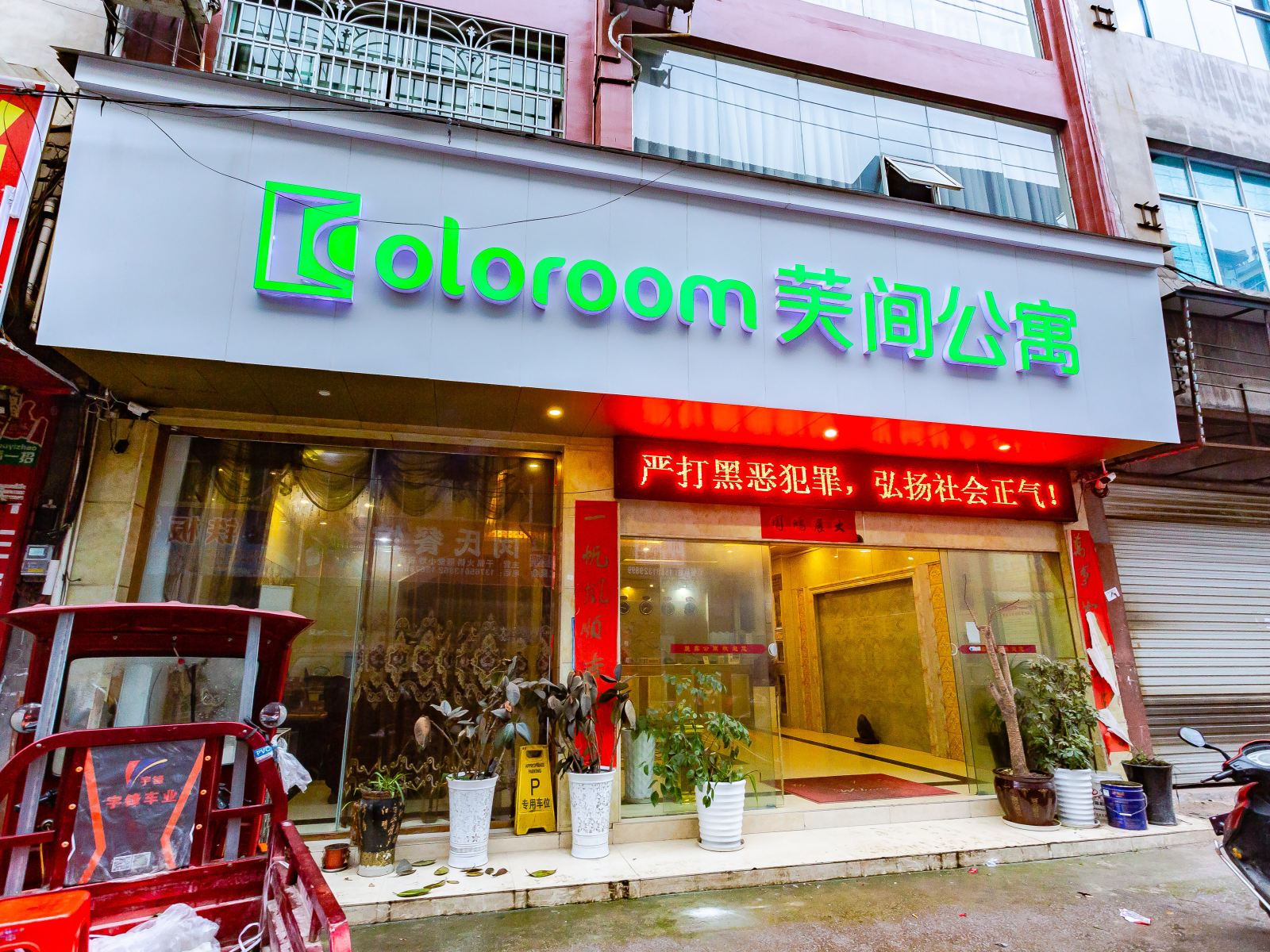 外观
