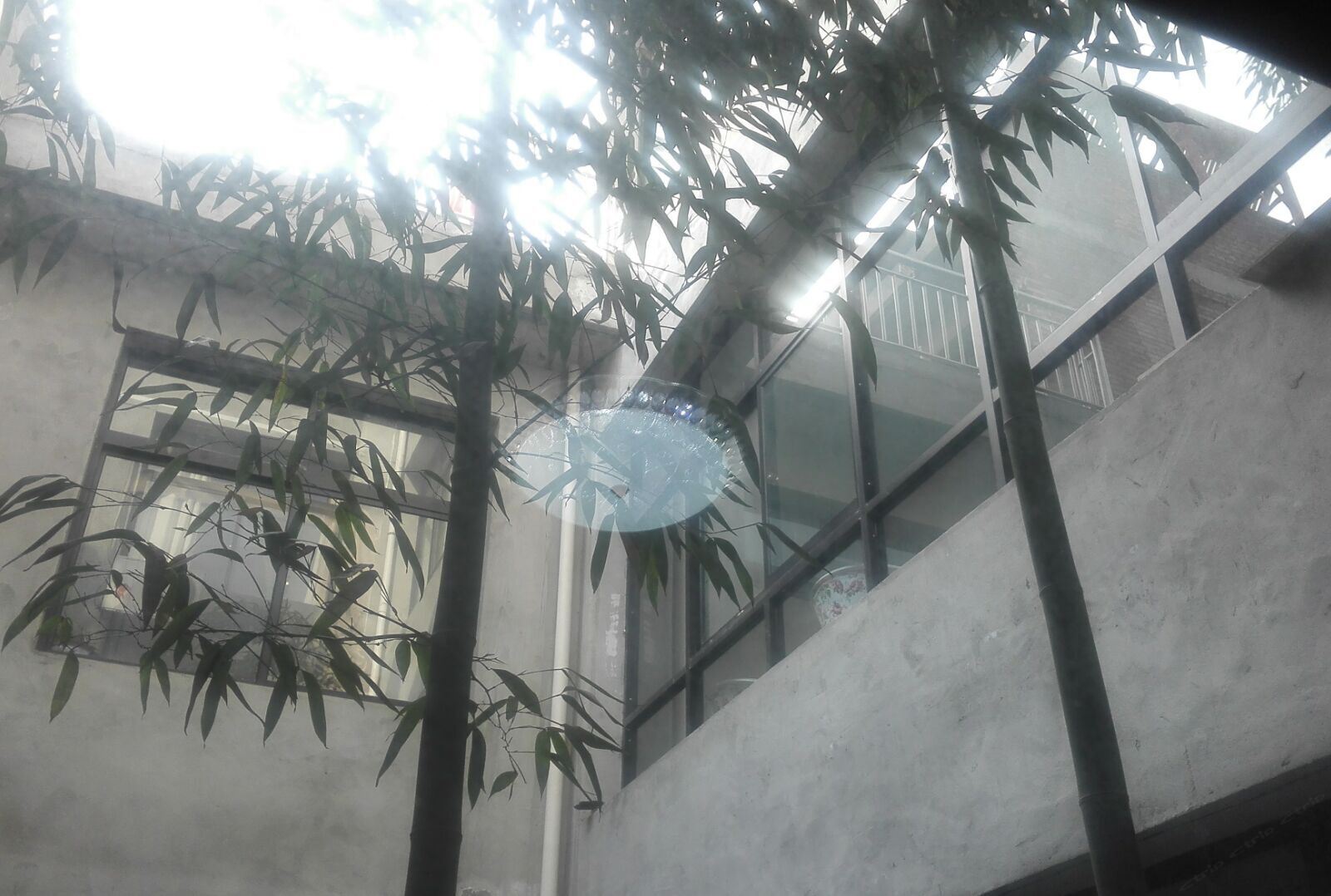 公共区域