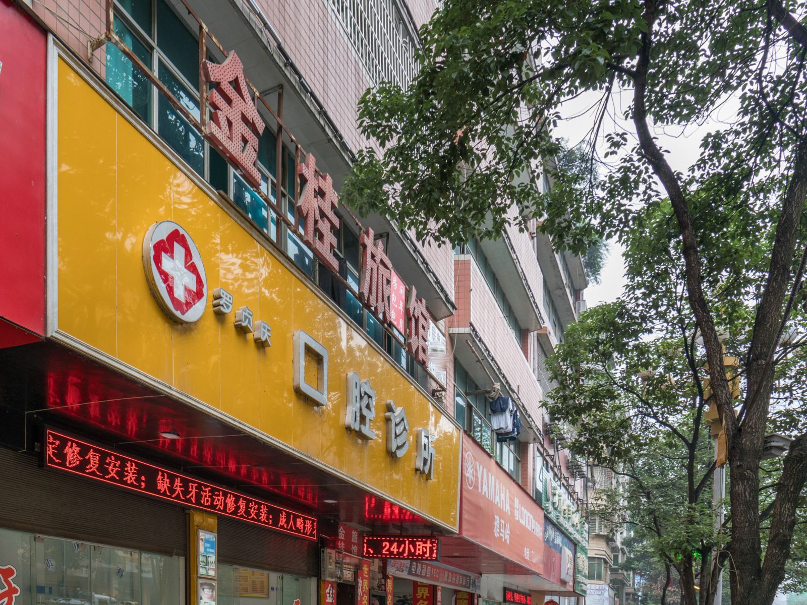 外观