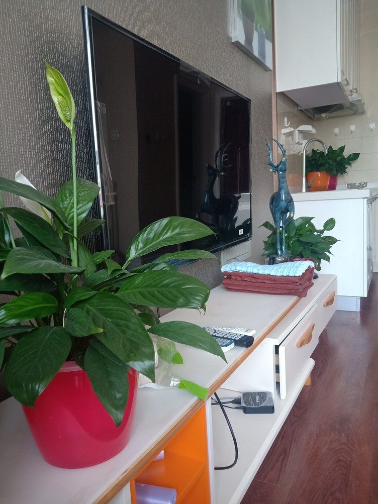 舒适精装一室大床房