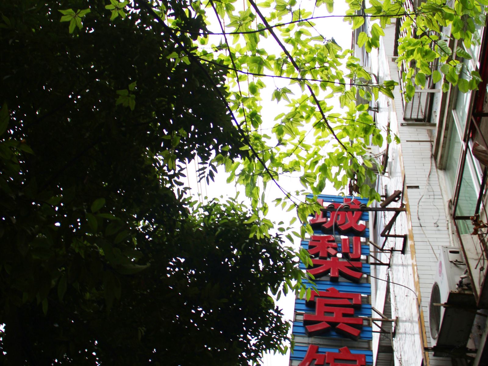 苍溪梨城宾馆