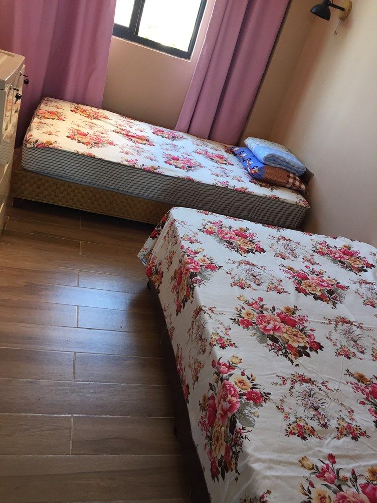 一室单床房