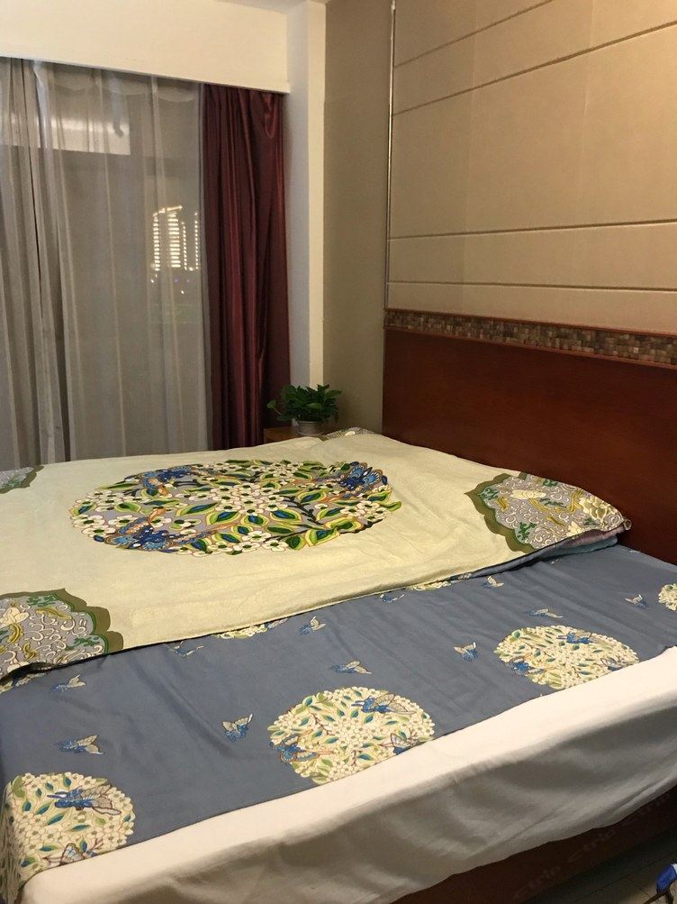 花园一室大床房