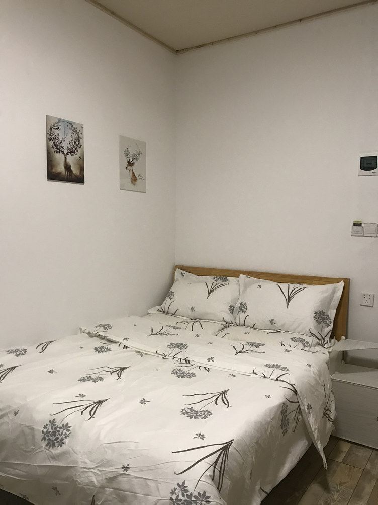 玫瑰一室大床房