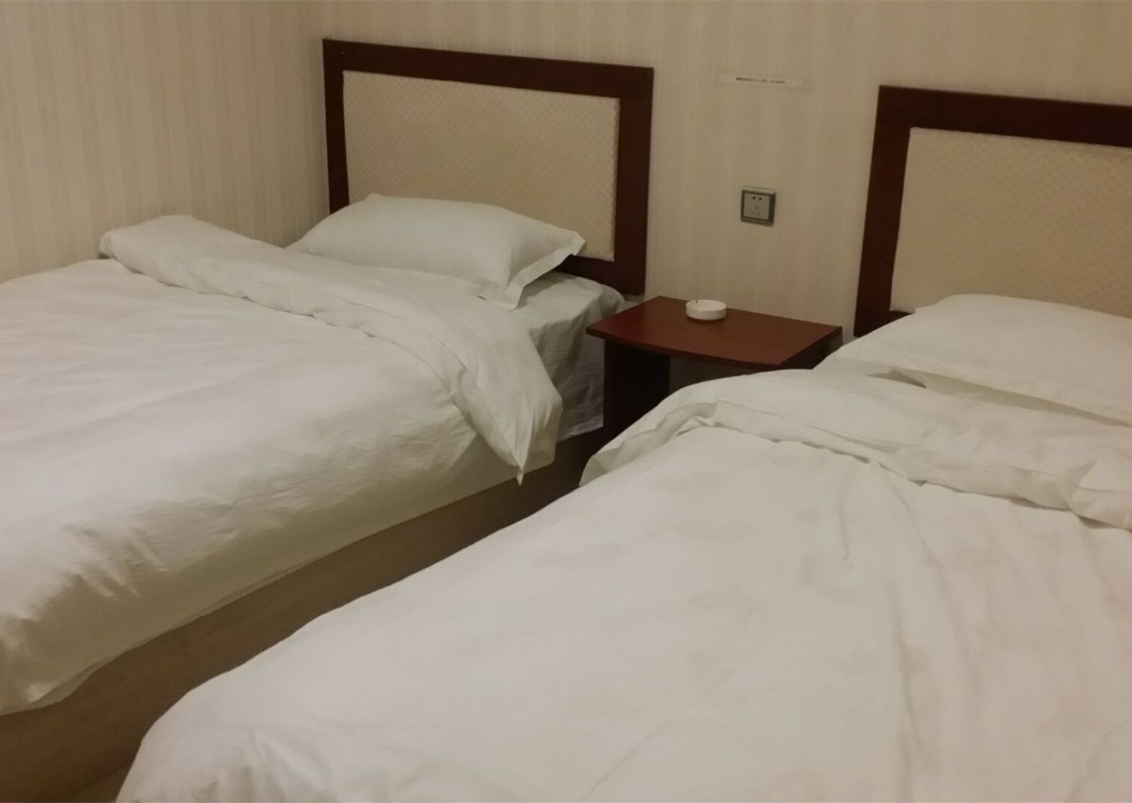 舒适标准间