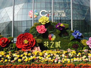 去丽江旅游的旅行团_深圳-丽江旅游_丽江旅游会议