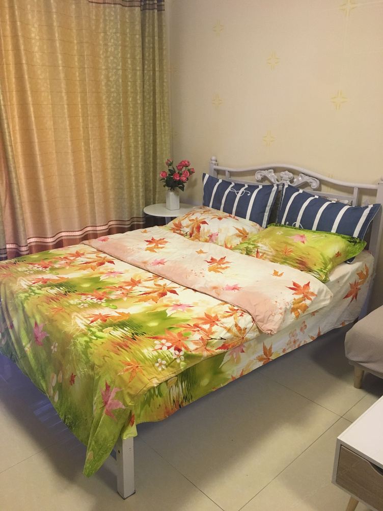苹果一室大床房