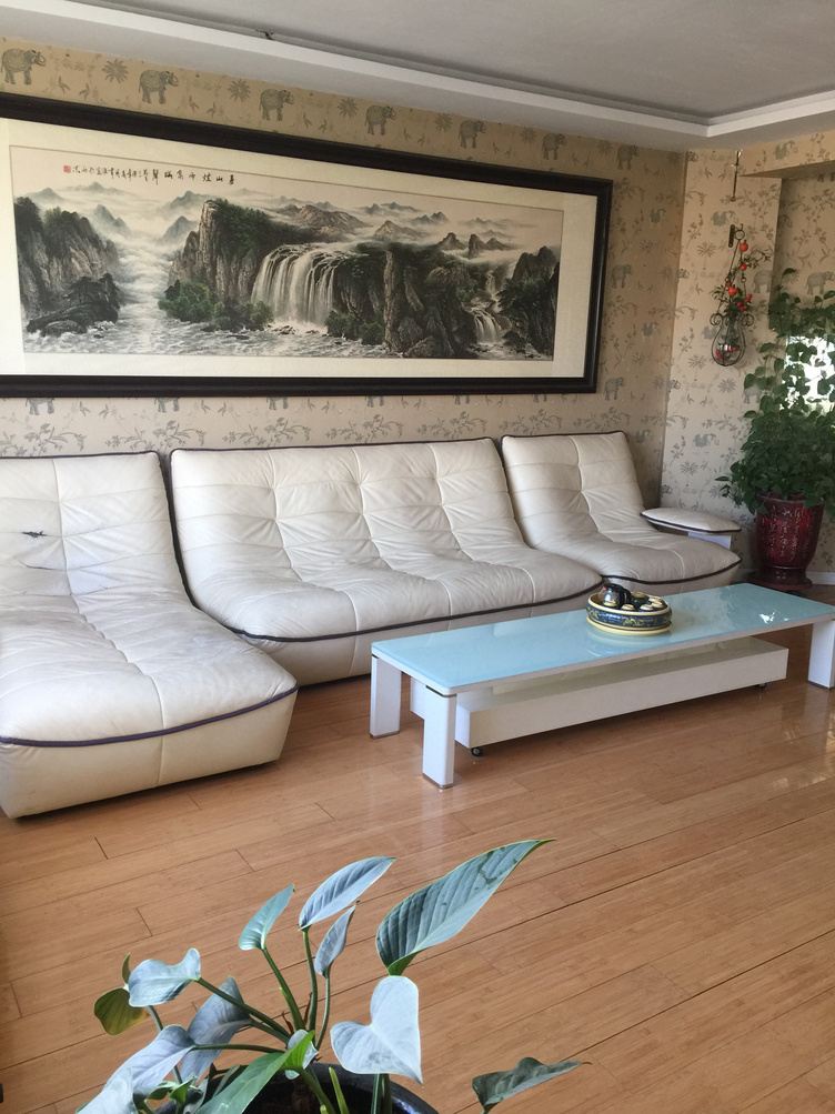 阳光套房