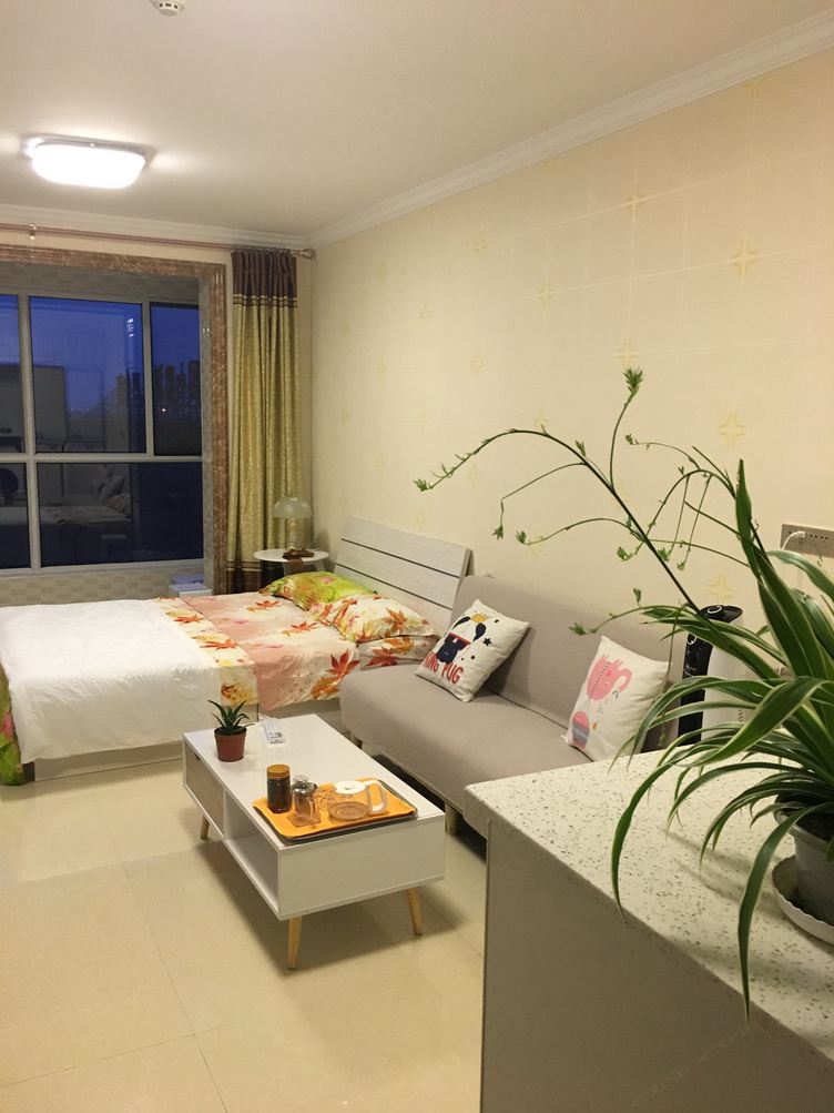 苹果一室大床房