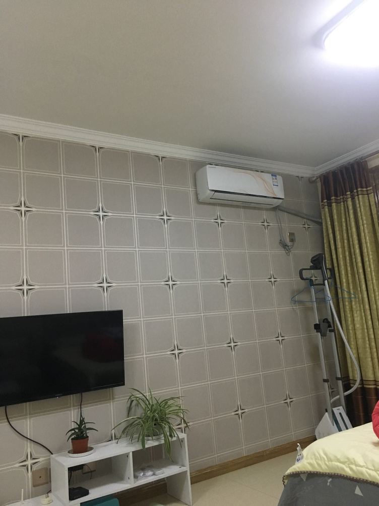 苹果一室大床房