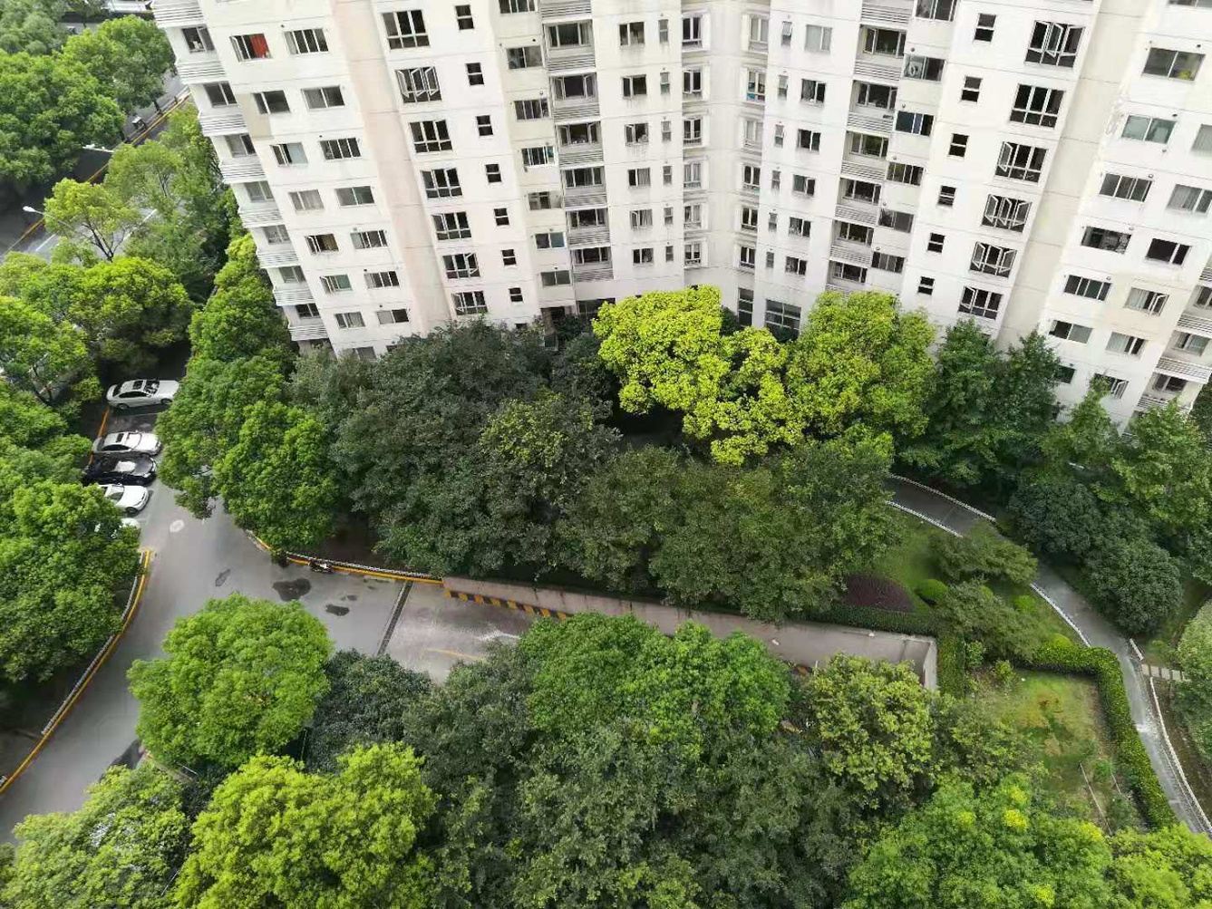 上海长宁民宿（高端住宅）