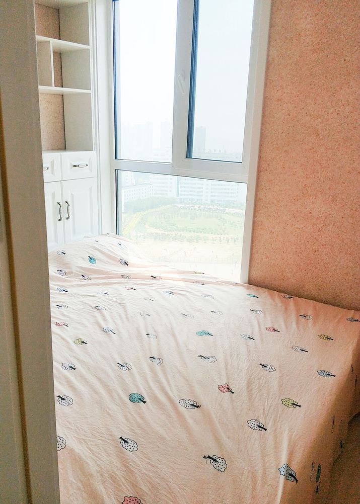美景一室二厅套房