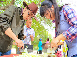 壩上草原旅游最佳路線_壩上草原旅游一次多少錢_壩上草原跟團(tuán)還是自由行