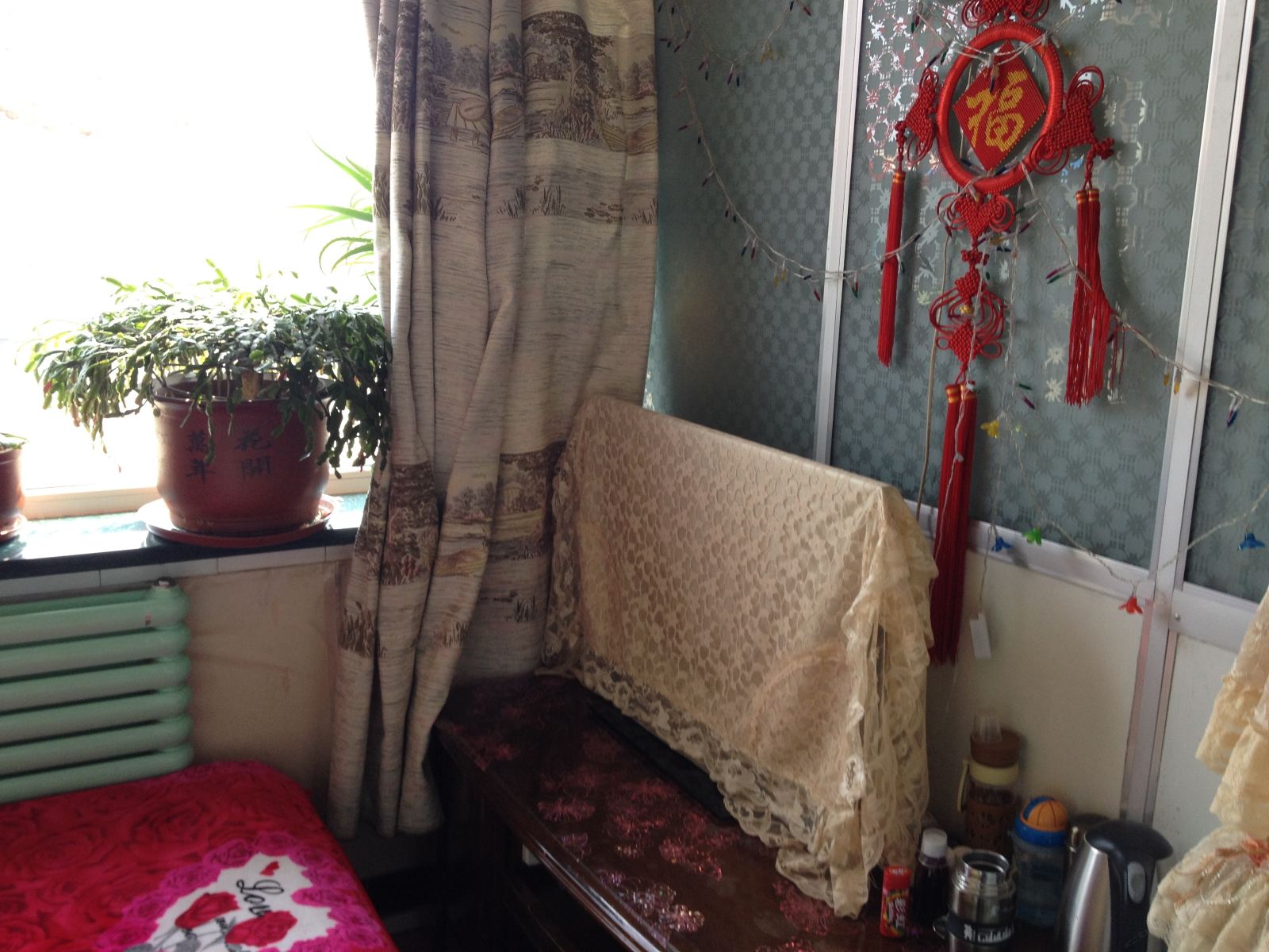 大床房B(无窗)