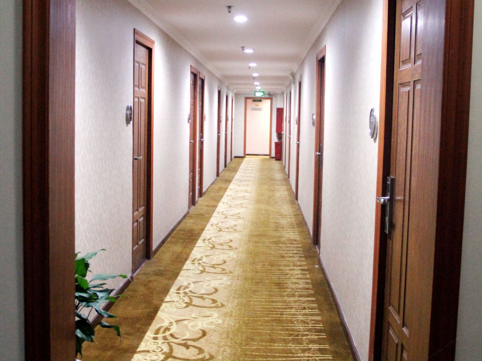 公共区域