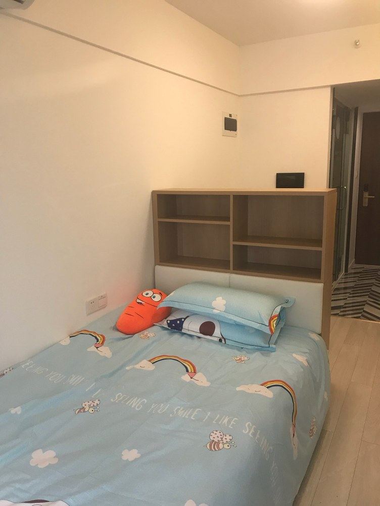 精装一室单床房