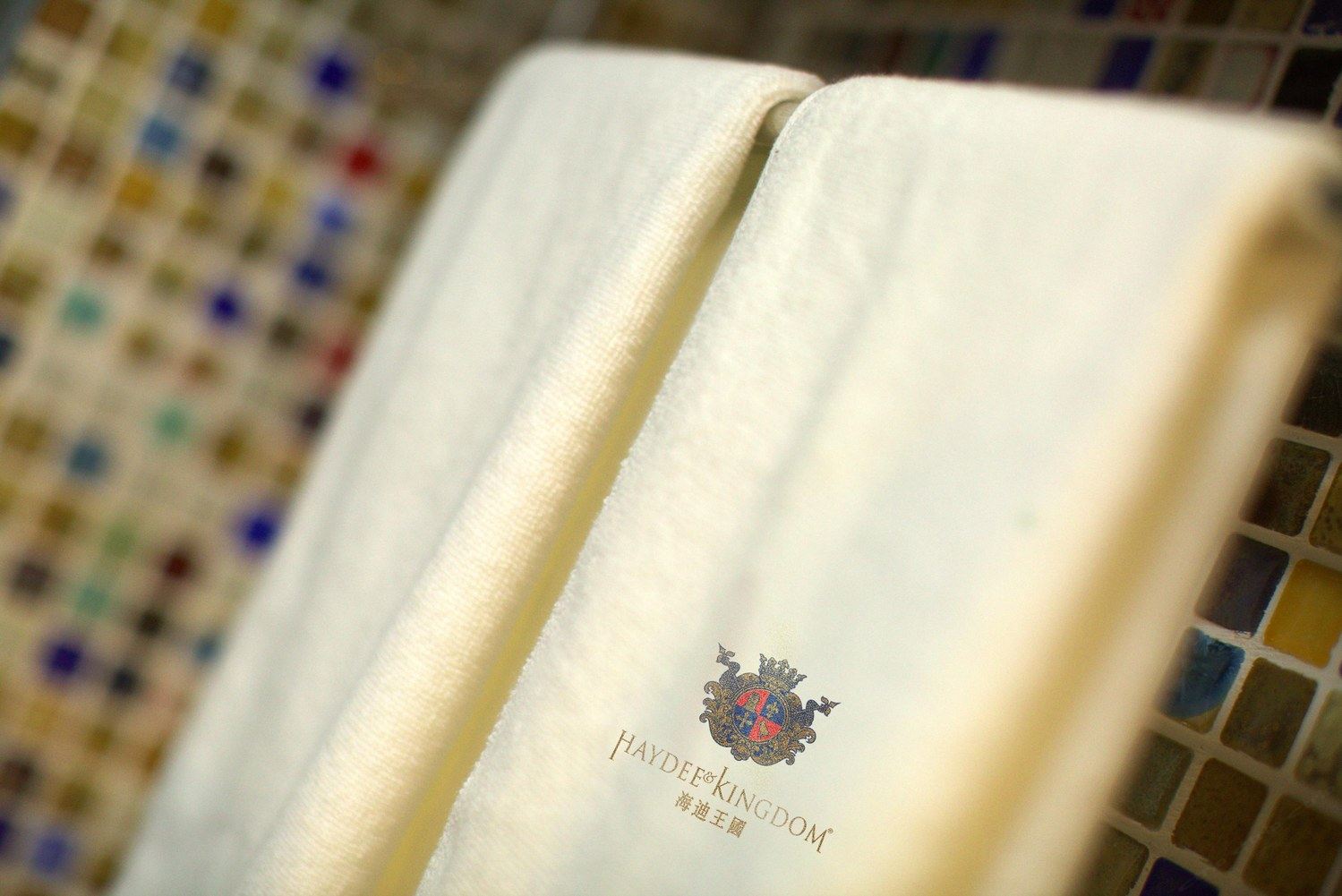 上海HAYDEEKINGDOM公寓(11号店)