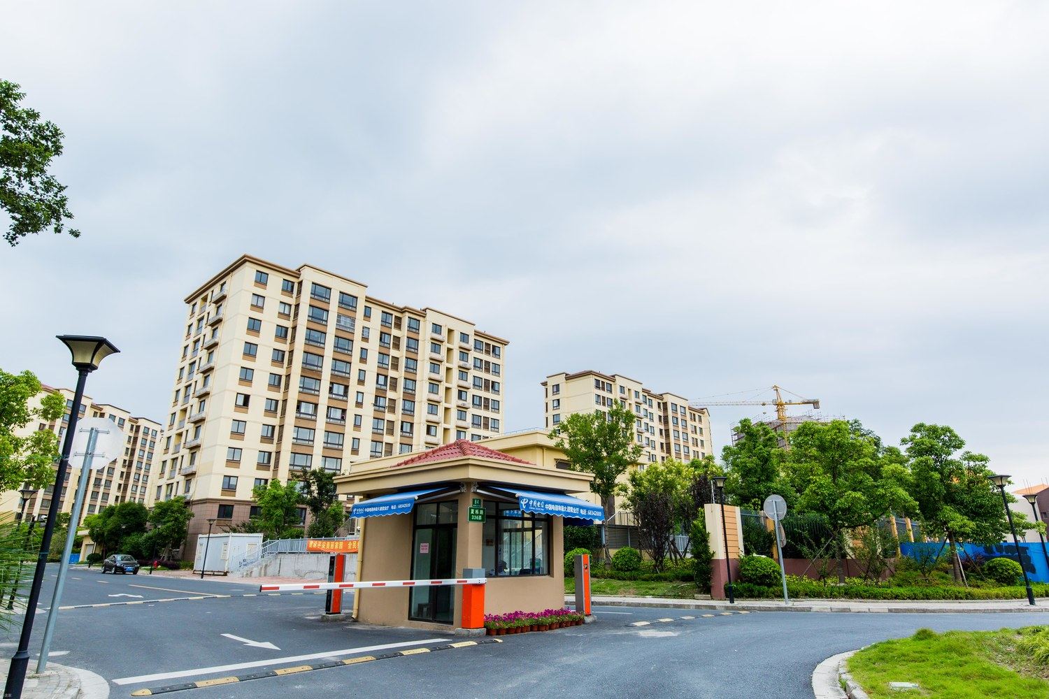 其他