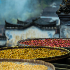景点模块 