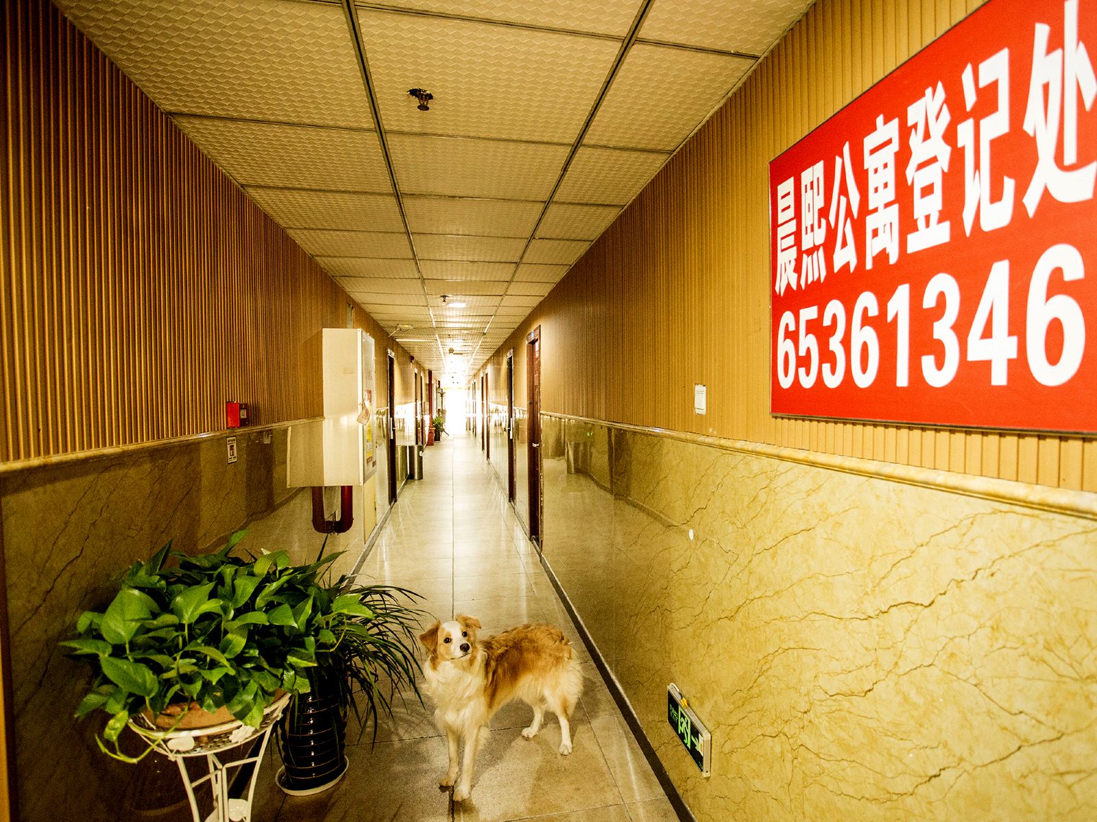 公共区域