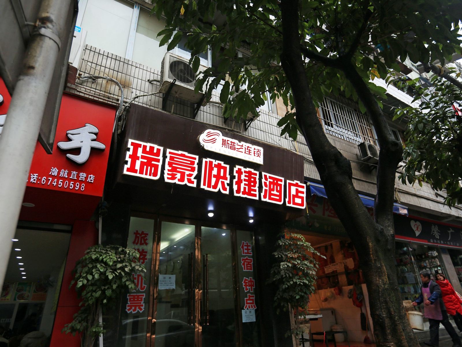 外观