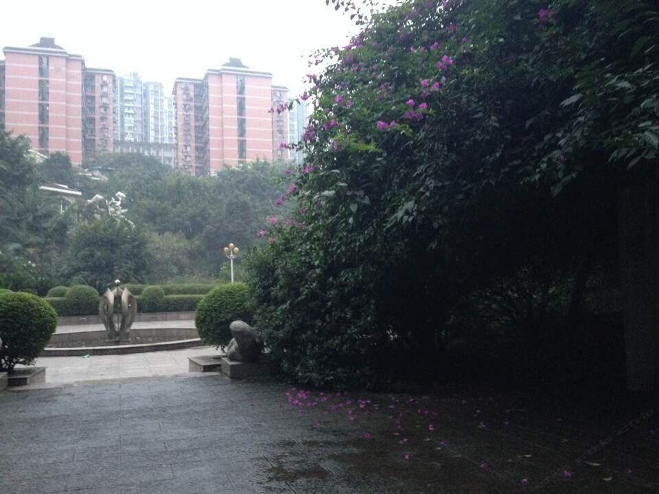 重庆塔罗青年旅舍