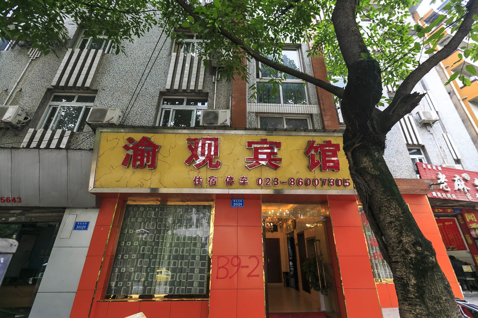 外观