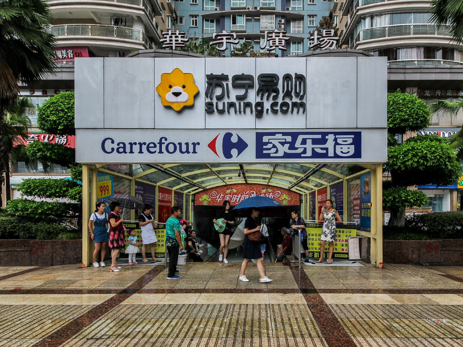 外观